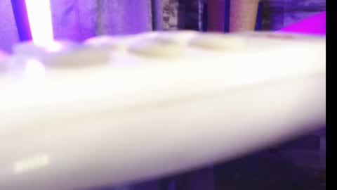 lexywetrain online show from October 2025 10:21:02 PM