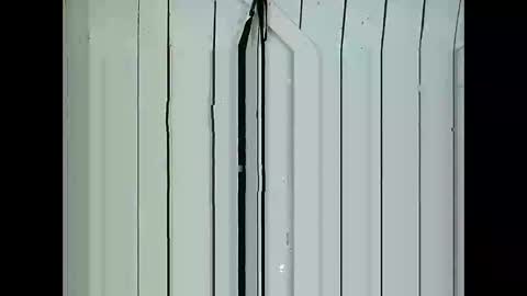 Lia online show from January 2025 11:42:01 PM