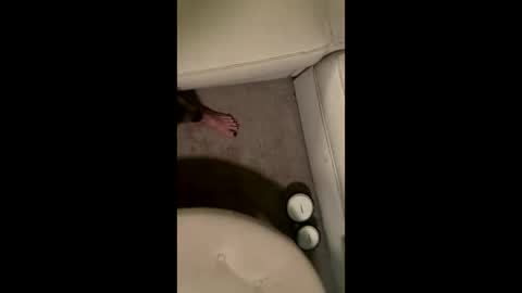 Snapshot of liamleggings chatting on December 2025 02:38:01 AM liamleggings online show from December 2025 02:38:01 AM