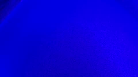 LickYourYoni online show from January 2025 02:47:02 PM