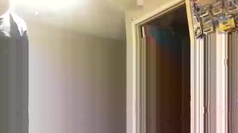 lie2ne online show from November 2025 03:50:01 PM