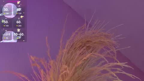 Liiam Luna online show from January 2026 09:04:02 AM