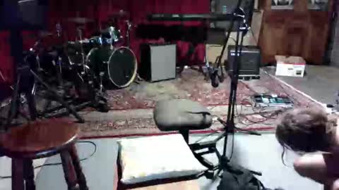 like2dildo online show from February 2026 04:36:02 PM