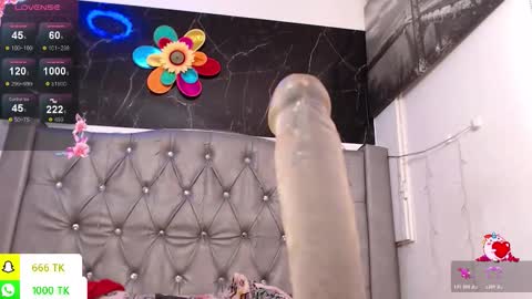   online show from February 2026 02:37:02 PM