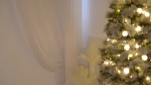 Snapshot of lilbeccaxo chatting on December 2025 06:03:01 PM Rebecca online show from December 2025 06:03:01 PM