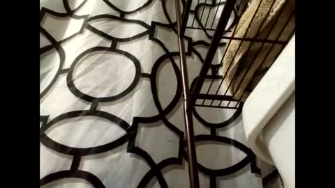 lilcalvo1 online show from March 2026 09:34:02 AM