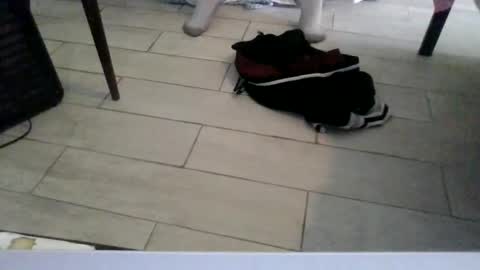 Snapshot of lildicksissy chatting on February 2026 08:20:01 PM lildicksissy online show from February 2026 08:20:01 PM