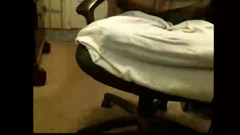 Sasquatch online show from March 2026 05:37:02 PM