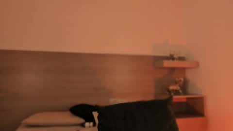 lilith_sage_ online show from March 2026 12:10:01 AM