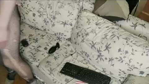 Lilli Sissy SlutCat online show from July 2026 01:21:01 PM