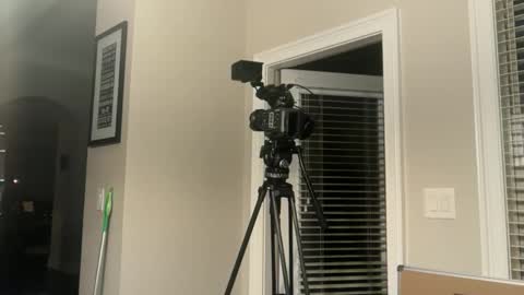 lilnasty100 online show from June 2026 03:09:02 AM