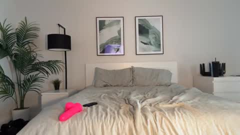 Ava online show from February 2026 02:16:02 PM