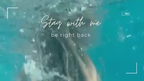 Snapshot of lily_foster_ chatting on September 2025 07:02:01 AM Lily online show from September 2025 07:02:01 AM