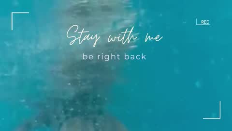 Snapshot of lily_foster_ chatting on November 2025 06:15:02 AM Lily online show from November 2025 06:15:02 AM