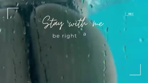 Snapshot of lily_foster_ chatting on November 2025 06:33:02 AM Lily online show from November 2025 06:33:02 AM