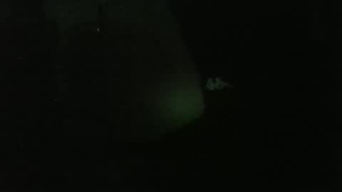 lily lovelyman online show from December 2024 04:53:02 AM