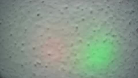 lily lovelyman online show from February 2025 06:52:02 AM