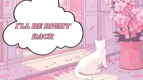 Lin  online show from June 2026 11:29:02 PM