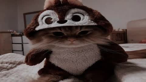 lina_ri online show from August 2026 01:05:01 PM