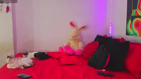 Snapshot of linda_rose28 chatting on September 2025 02:07:02 PM linda_rose28 online show from September 2025 02:07:02 PM