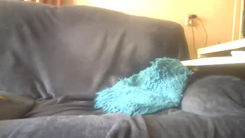 lion160868 online show from February 2025 10:14:02 AM