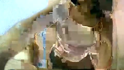 Snapshot of liora_selene chatting on March 2025 06:53:02 AM liora online show from March 2025 06:53:02 AM