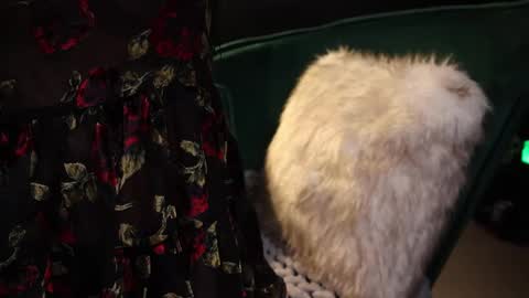 Snapshot of lireesa chatting on February 2025 04:18:02 AM Lire online show from February 2025 04:18:02 AM