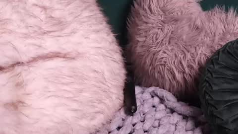 Snapshot of lireesa chatting on October 2025 04:52:01 AM Lire online show from October 2025 04:52:01 AM