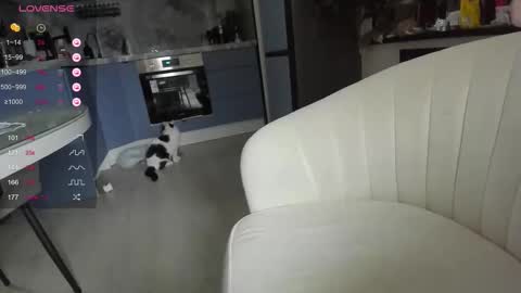 Snapshot of lisa__fox chatting on March 2026 04:24:04 AM Lisa online show from March 2026 04:24:04 AM