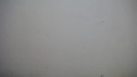 Snapshot of lisa_branch chatting on November 2025 10:38:02 AM lisa_branch online show from November 2025 10:38:02 AM