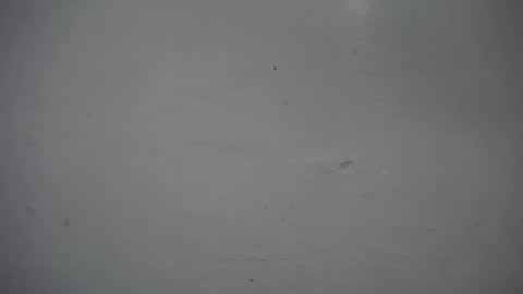 Snapshot of lisa_branch chatting on November 2025 12:33:02 PM lisa_branch online show from November 2025 12:33:02 PM