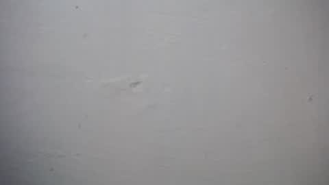 Snapshot of lisa_branch chatting on November 2025 07:27:01 PM lisa_branch online show from November 2025 07:27:01 PM