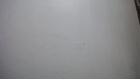 Snapshot of lisa_branch chatting on November 2025 11:02:01 AM lisa_branch online show from November 2025 11:02:01 AM