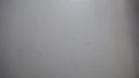 Snapshot of lisa_branch chatting on December 2025 11:59:01 AM lisa_branch online show from December 2025 11:59:01 AM