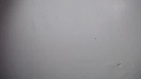 Snapshot of lisa_branch chatting on December 2025 11:06:02 AM lisa_branch online show from December 2025 11:06:02 AM