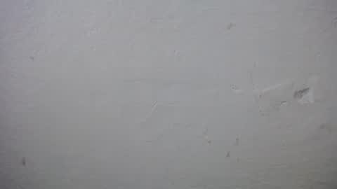 Snapshot of lisa_branch chatting on December 2025 11:17:01 AM lisa_branch online show from December 2025 11:17:01 AM