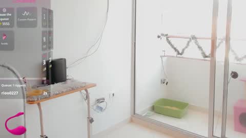 Snapshot of lisa_santoss chatting on December 2024 06:17:02 PM Lisa online show from December 2024 06:17:02 PM