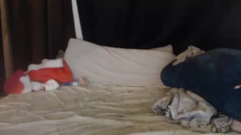 Lisa Tyler online show from December 2024 07:40:02 AM