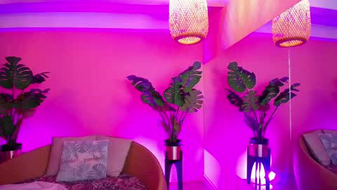 Paulette online show from November 2025 01:18:02 PM