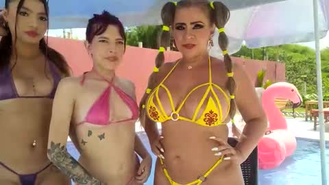 Snapshot of little_sharol chatting on October 2025 03:10:02 PM Sharol  online show from October 2025 03:10:02 PM