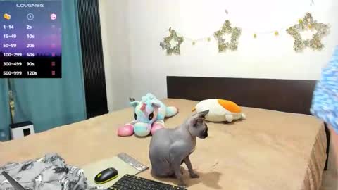 Snapshot of little_sonya chatting on February 2026 11:17:01 PM Kat online show from February 2026 11:17:01 PM