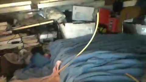 littlejay             littlejay online show from October 2025 07:17:02 AM