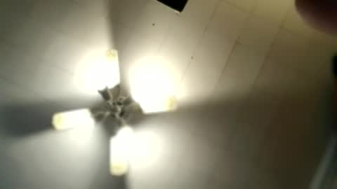 Snapshot of littlelonelylenny chatting on March 2026 09:17:01 AM littlelonelylenny online show from March 2026 09:17:01 AM