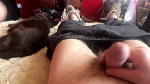 Little Tj online show from February 2026 05:33:01 PM