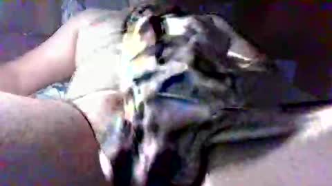 litwinpaweel online show from October 2025 08:22:02 PM