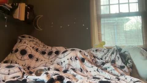 Snapshot of lizzyylovesick chatting on March 2025 04:57:02 PM lizzybunny online show from March 2025 04:57:02 PM