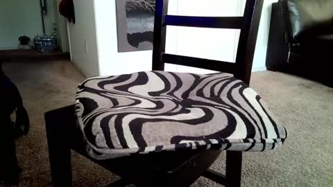 LL Cool Jake online show from March 2026 02:21:01 PM