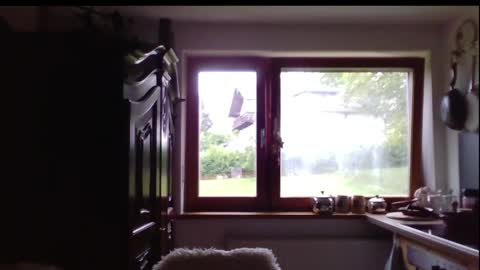 lofe_1978 online show from June 2026 05:40:02 PM