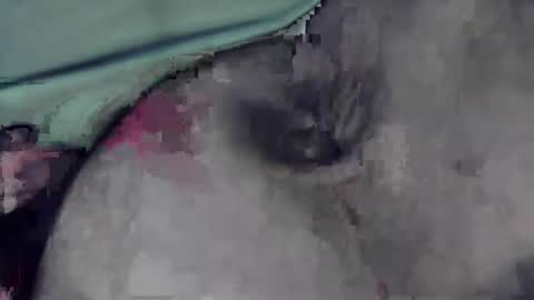 Snapshot of lofkok chatting on March 2025 04:13:02 PM lofkok online show from March 2025 04:13:02 PM