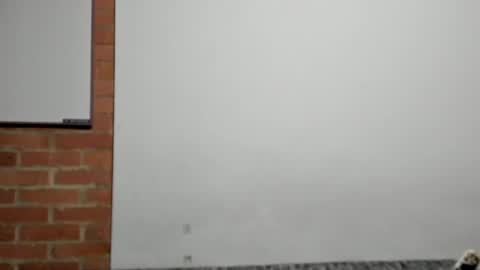 Snapshot of logannick chatting on April 2026 03:06:01 AM Logan online show from April 2026 03:06:01 AM